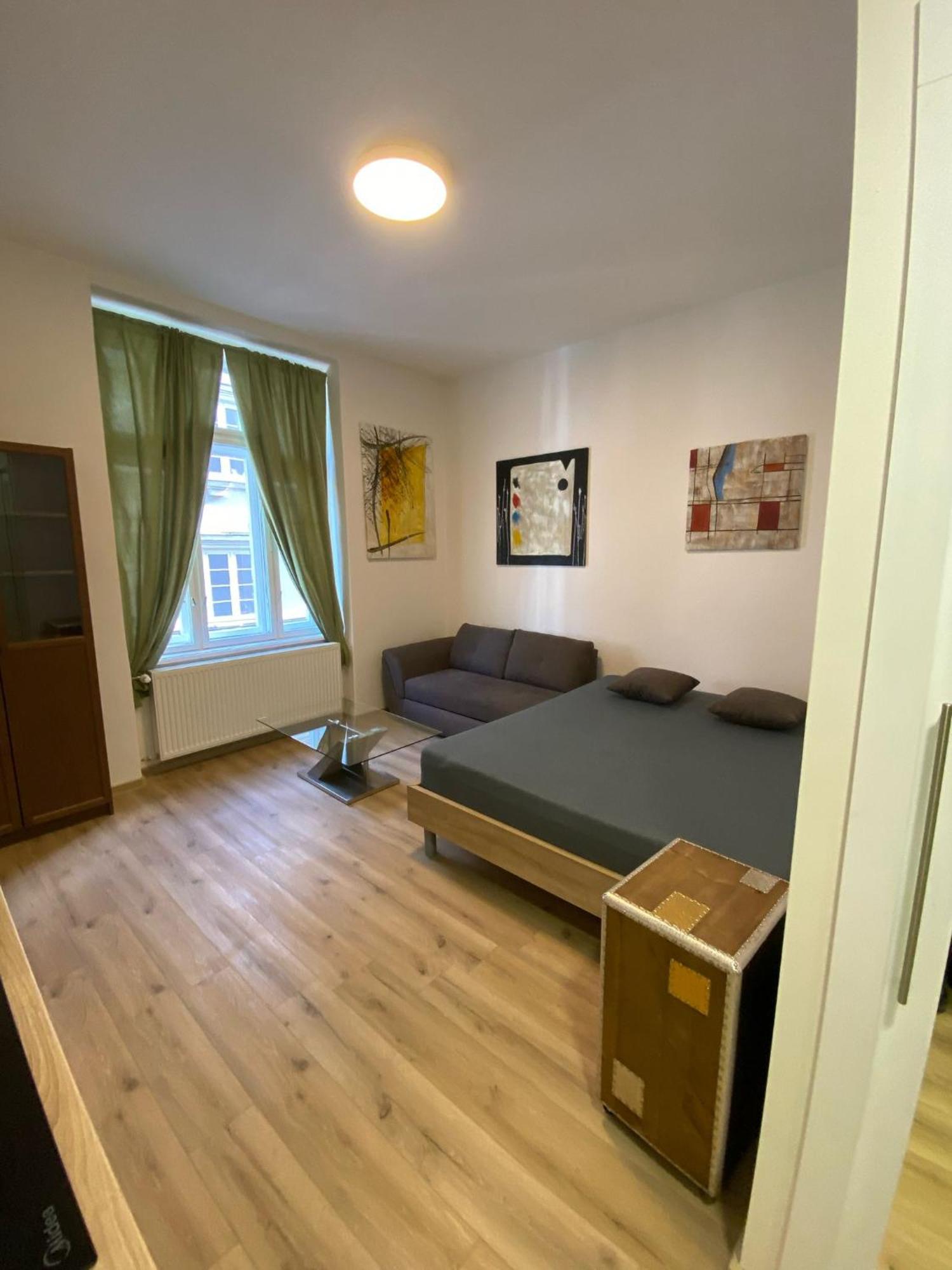 Garsoniera Centr, Na Hradbach 118 *